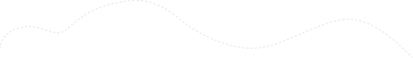 Timeline
