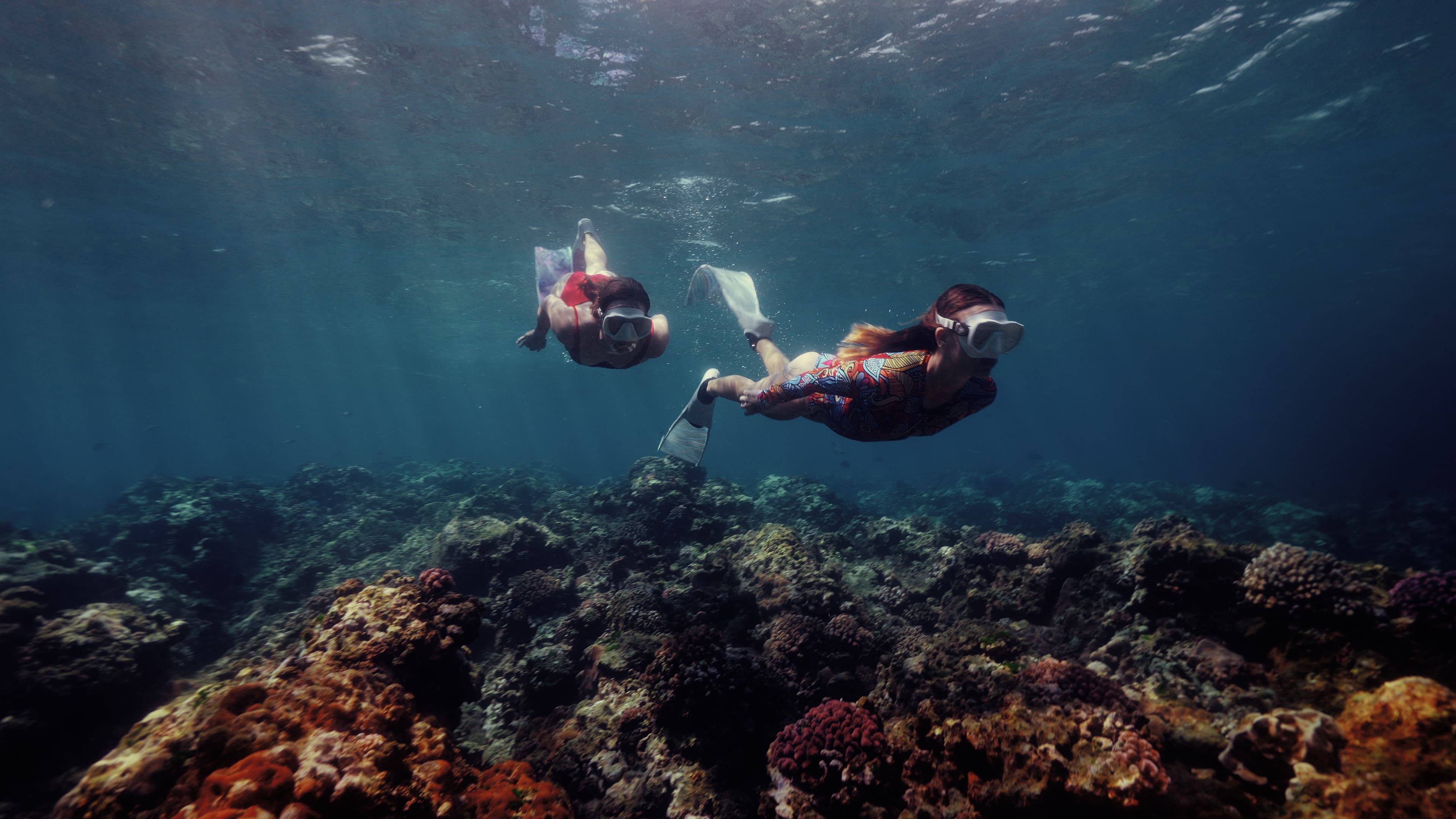 Behind The Reef
