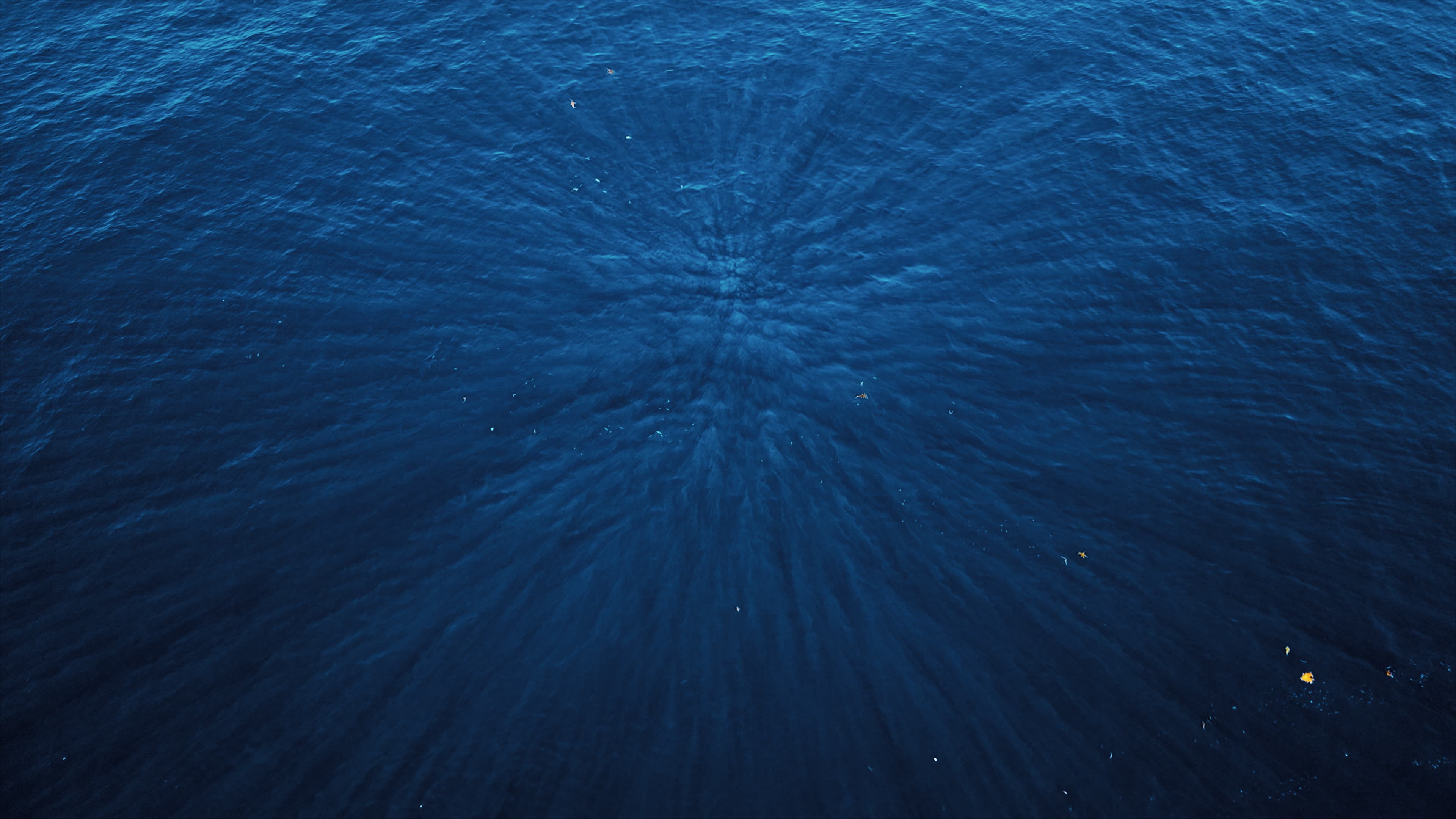 Embark The Blue