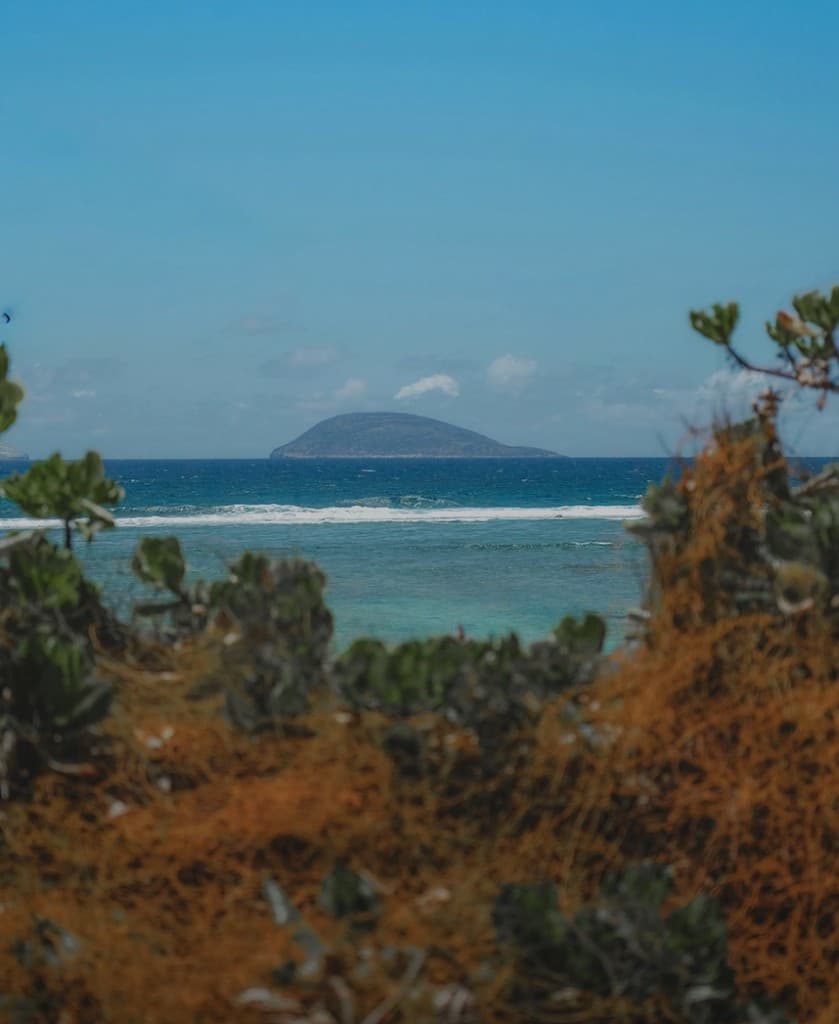 Flat Island Escape